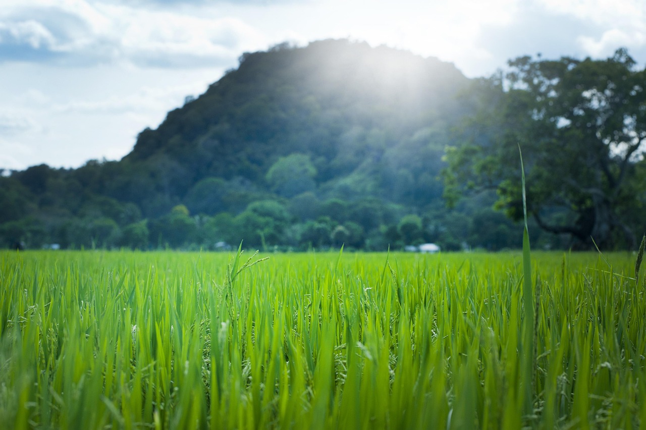 自驾探秘巴马长寿村，最佳住宿指南